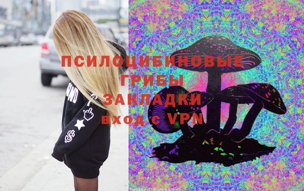 гашик Переславль-Залесский
