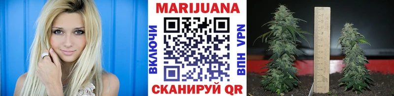 Каннабис Bruce Banner  Тавда 